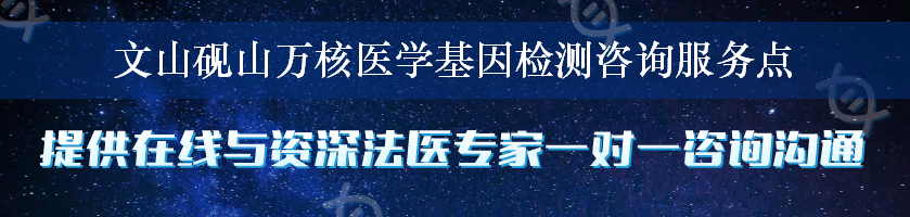 文山砚山万核医学基因检测咨询服务点